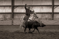 1.2.25 Team Roping 1